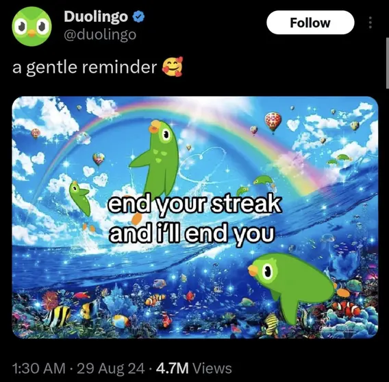 Puto Duolingo