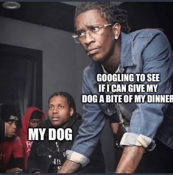 Putos perros eh?